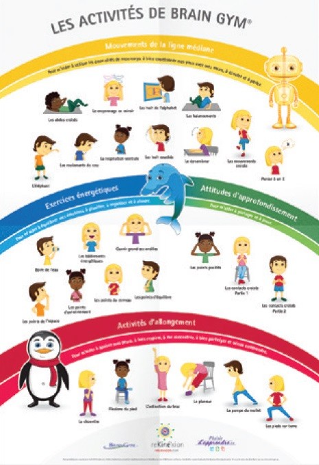 Poster 26 mouvements Brain Gym Dessin