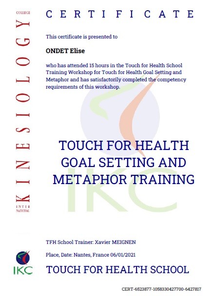 Code Certificat IKC TFH Métaphores TW (participation)