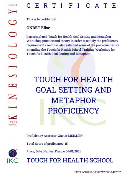 Certificat IKC TFH Métaphores Proficiency