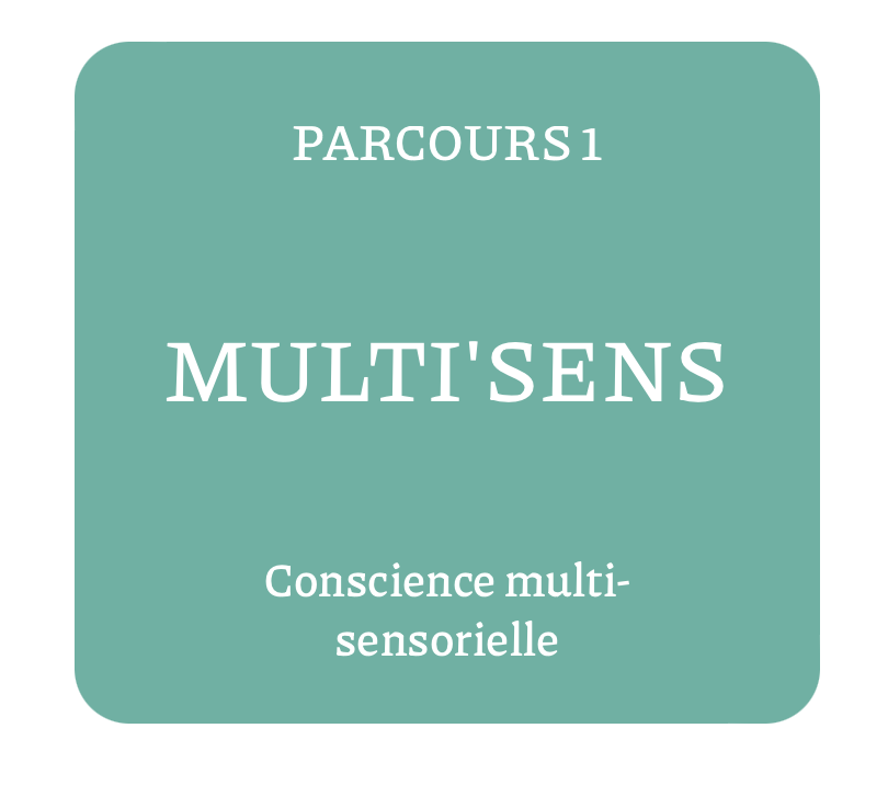 MULTI'SENS - RéEDUK'action