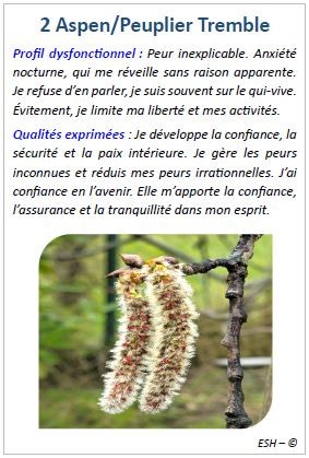 Cartes des Fleurs de Bach