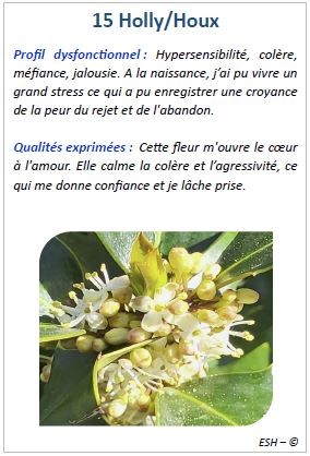 Cartes des Fleurs de Bach