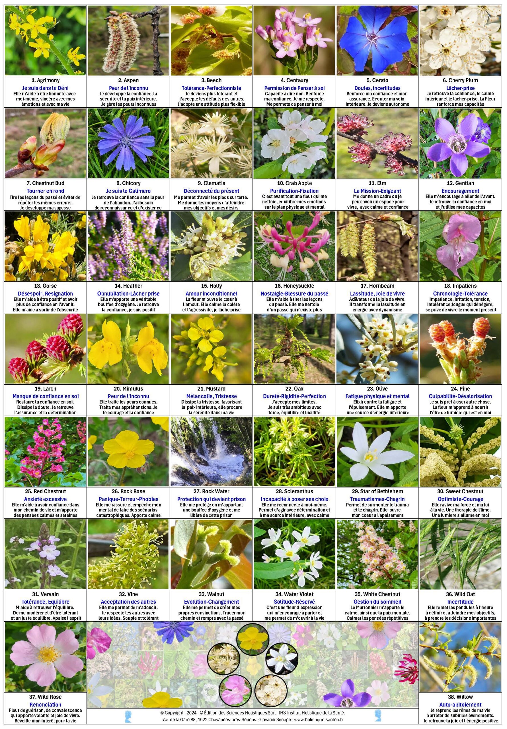 Cartes des Fleurs de Bach