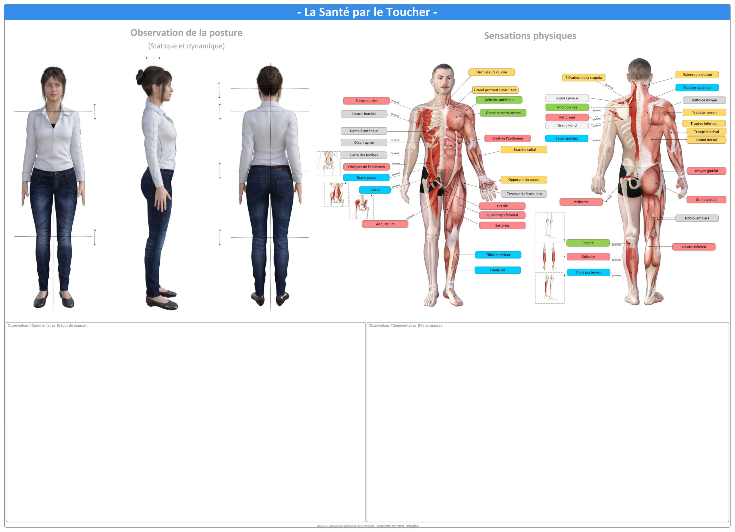 Pack 16 Fiches TFH plastifiées (v2)