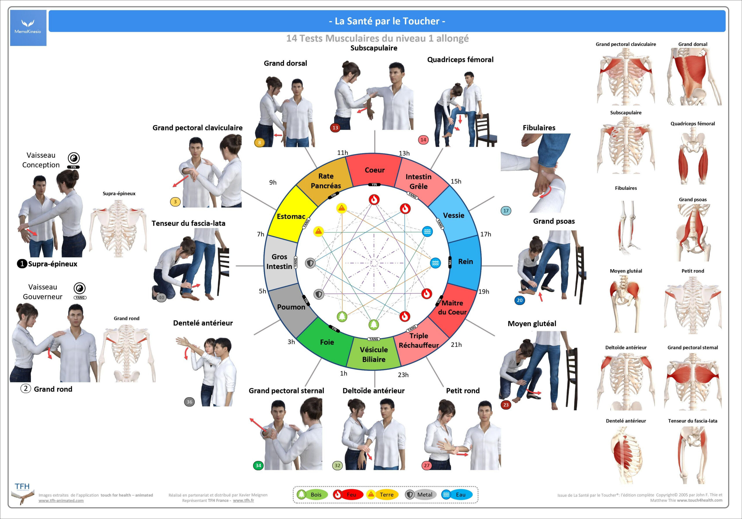 Pack 16 Fiches TFH plastifiées (v2)