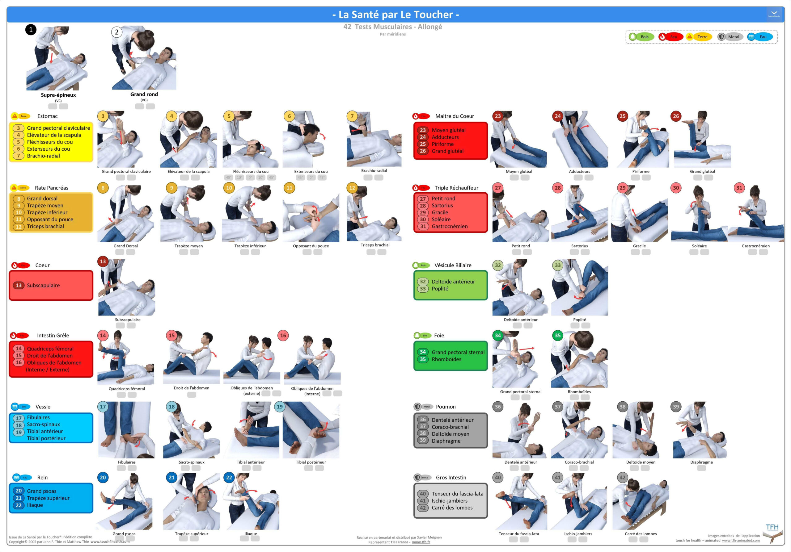 Pack 16 Fiches TFH plastifiées (v2)