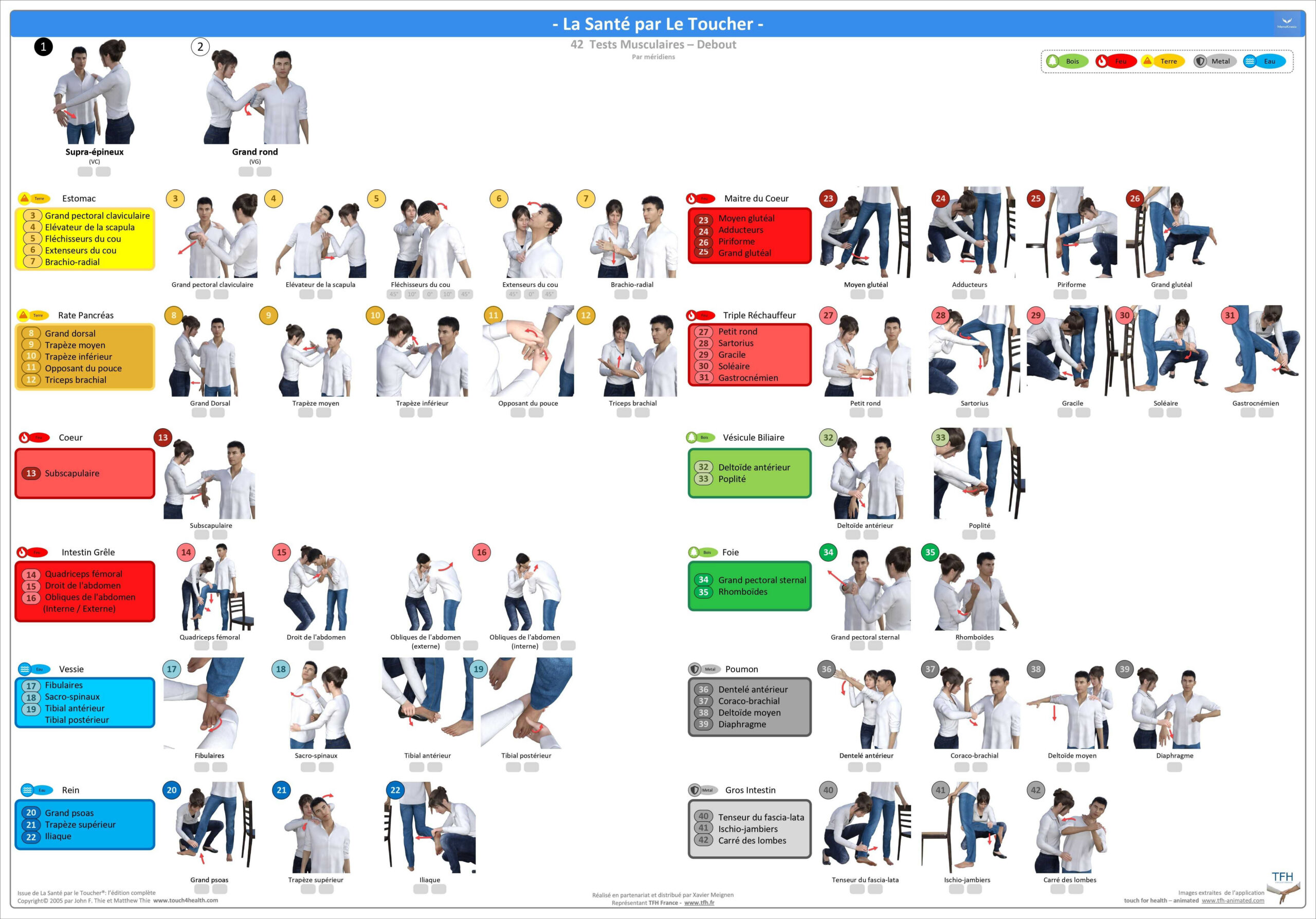Pack 16 Fiches TFH plastifiées (v2)