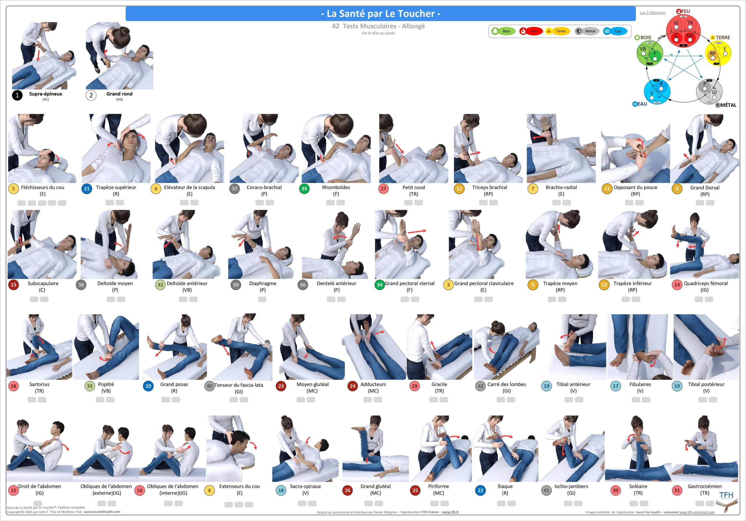 Pack 16 Fiches TFH plastifiées (v2)
