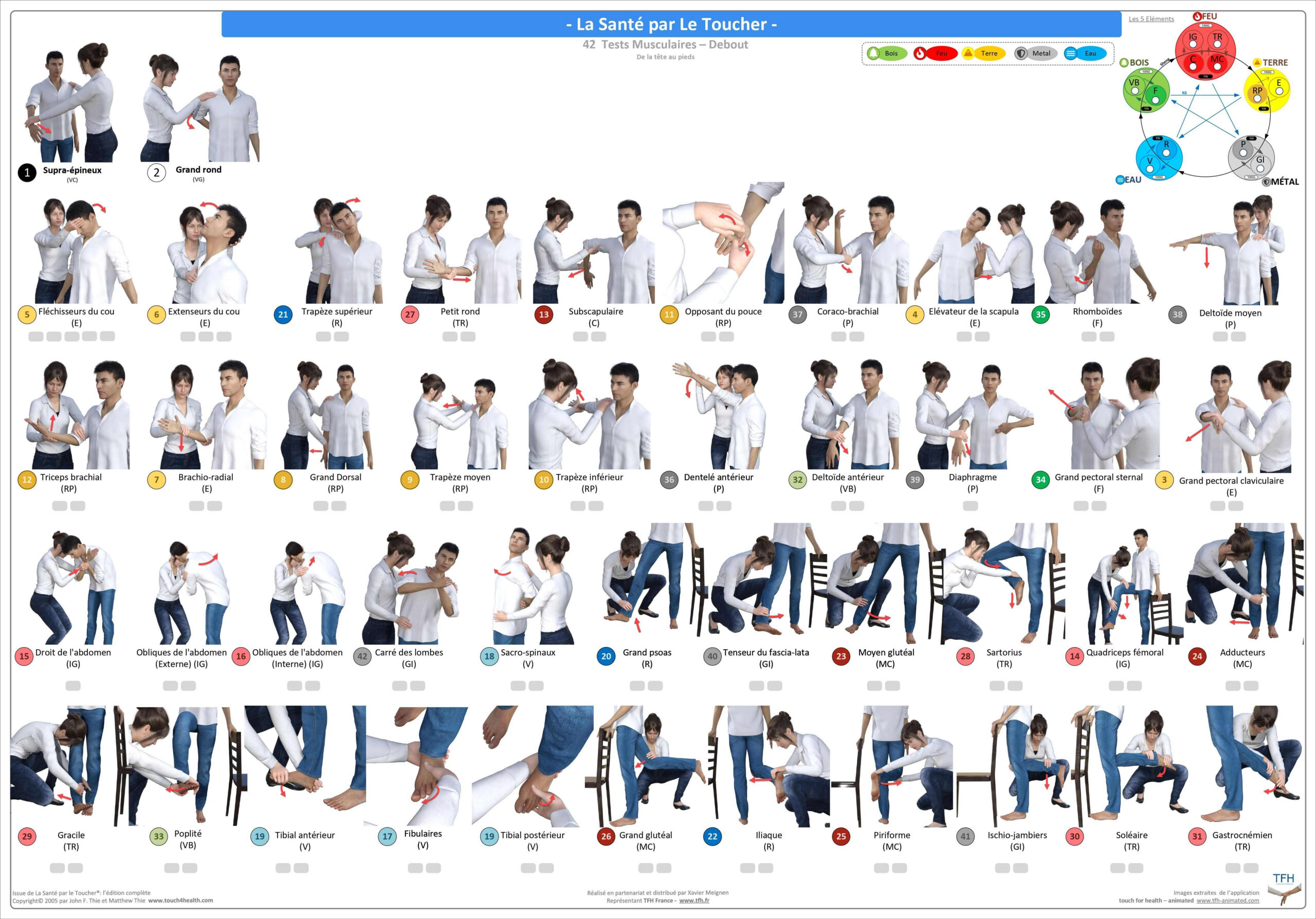 Pack 16 Fiches TFH plastifiées (v2)