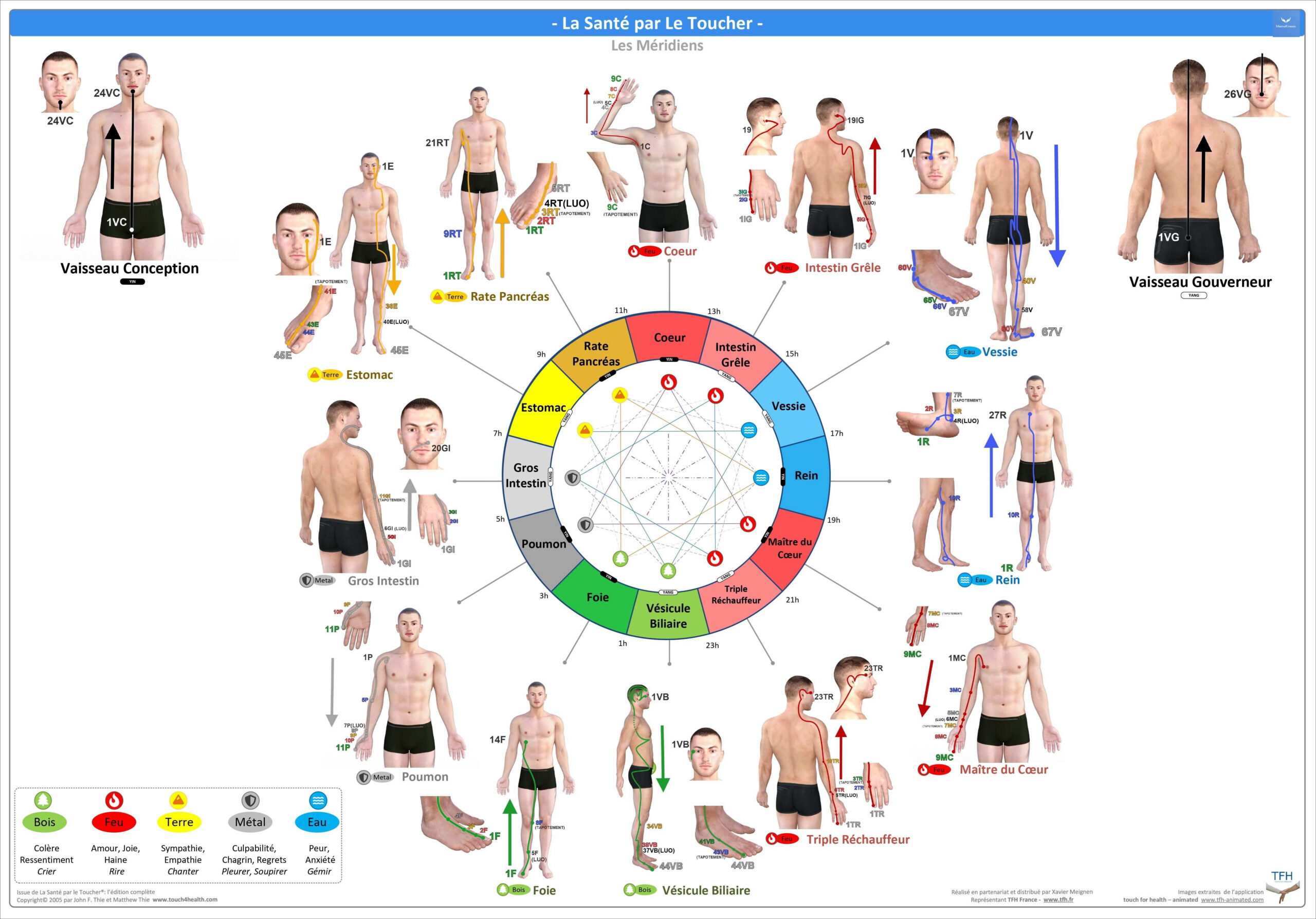 Pack 16 Fiches TFH plastifiées (v2)