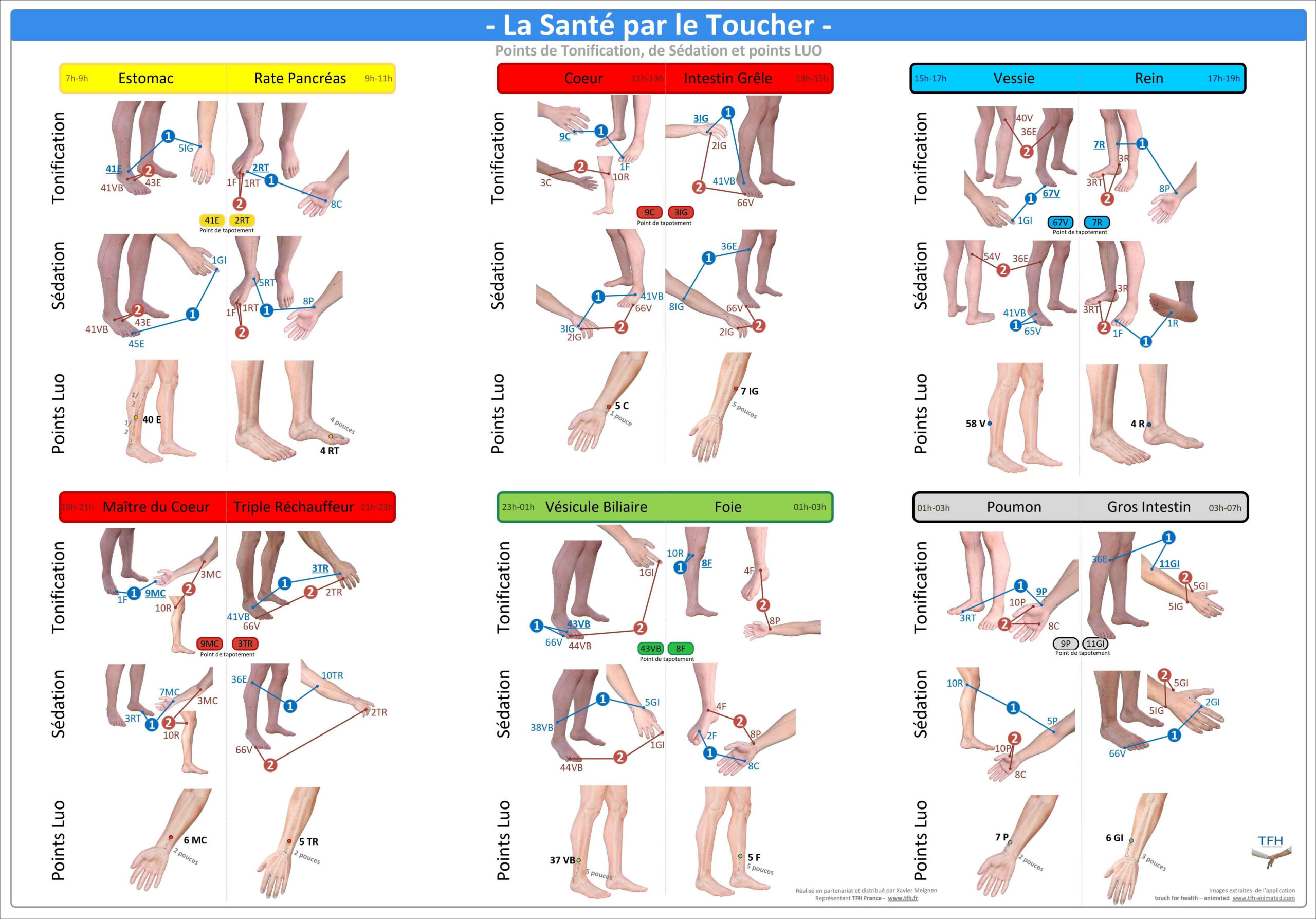 Pack 16 Fiches TFH plastifiées (v2)