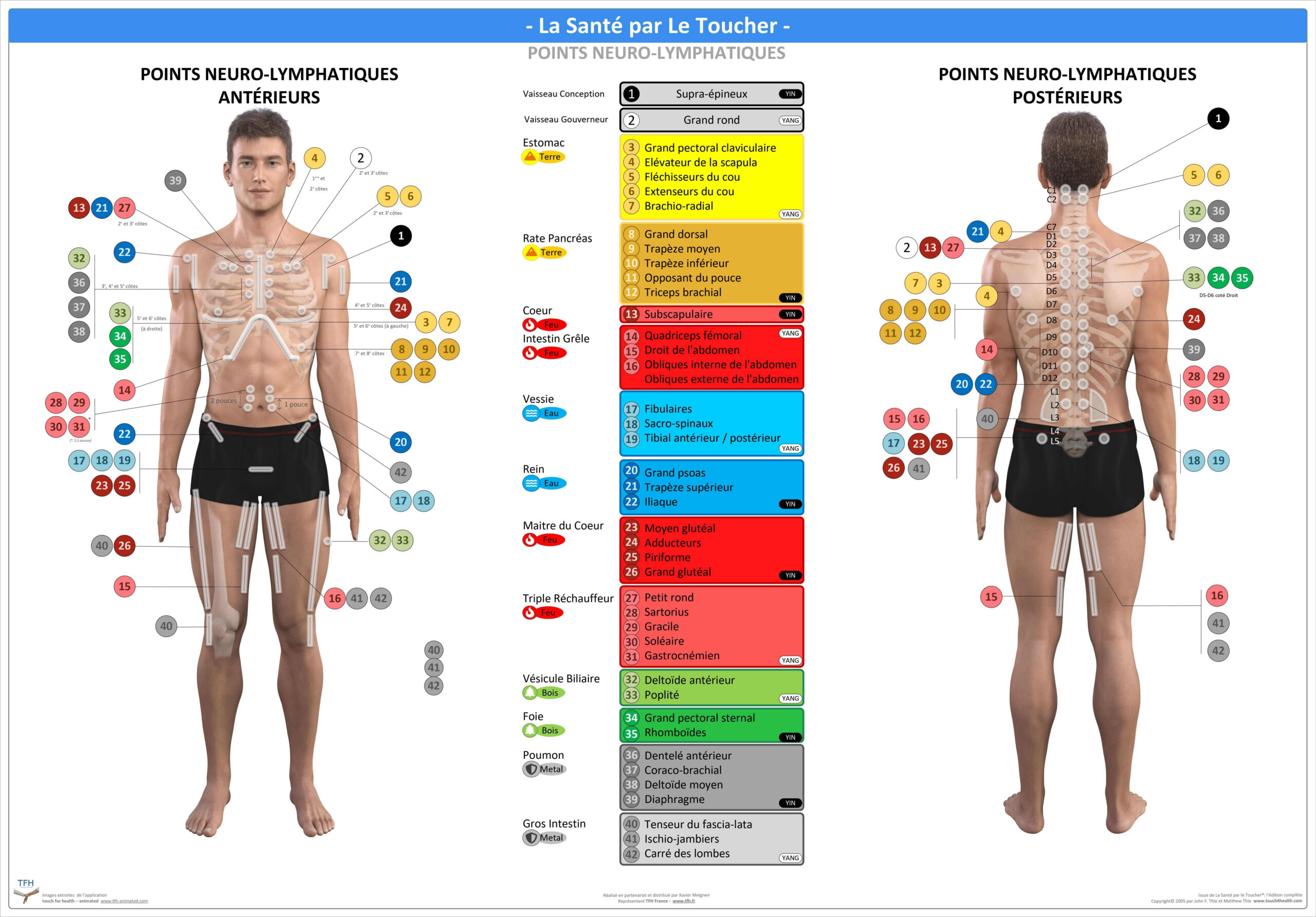 Pack 16 Fiches TFH plastifiées (v2)