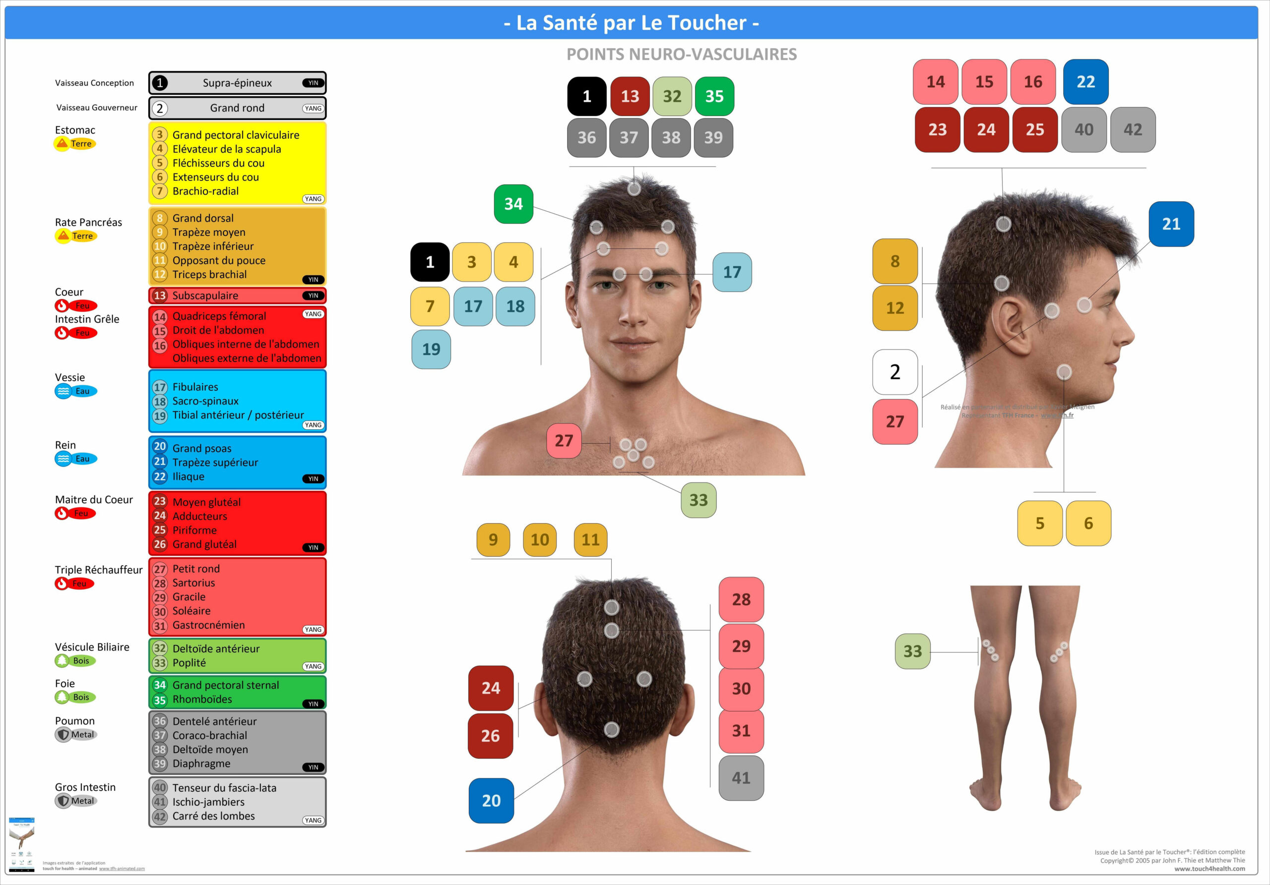 Pack 16 Fiches TFH plastifiées (v2)