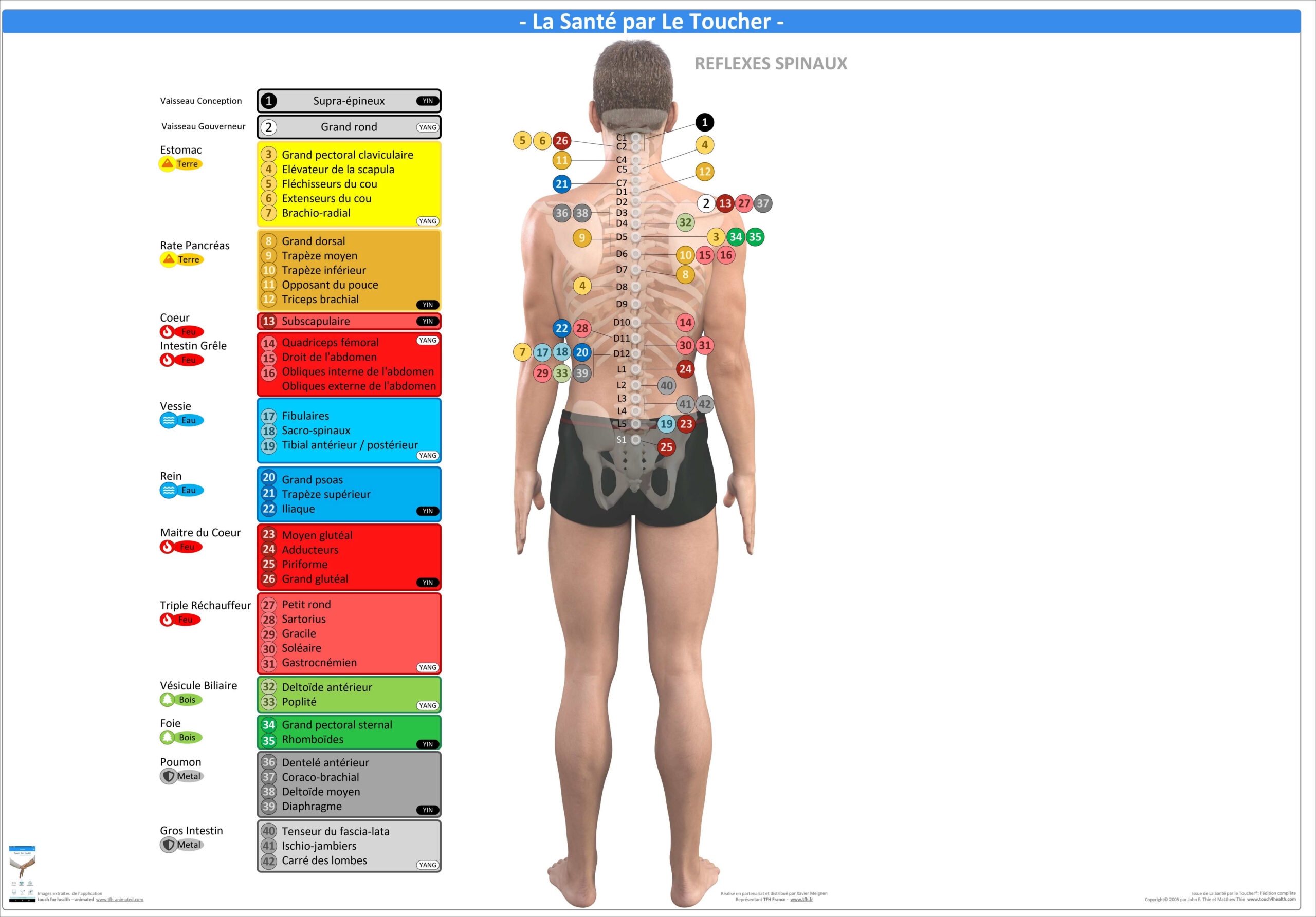 Pack 16 Fiches TFH plastifiées (v2)