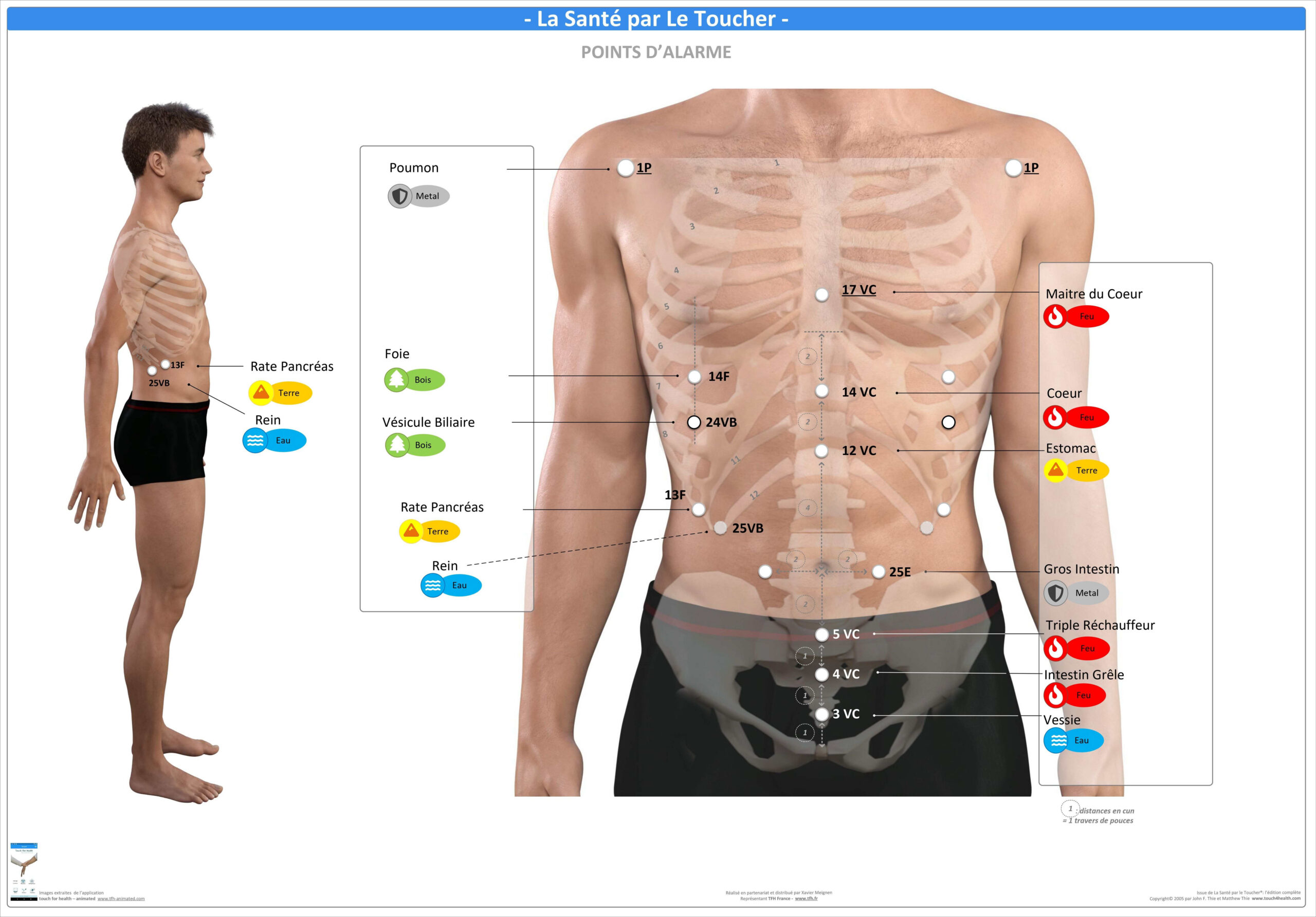 Pack 16 Fiches TFH plastifiées (v2)