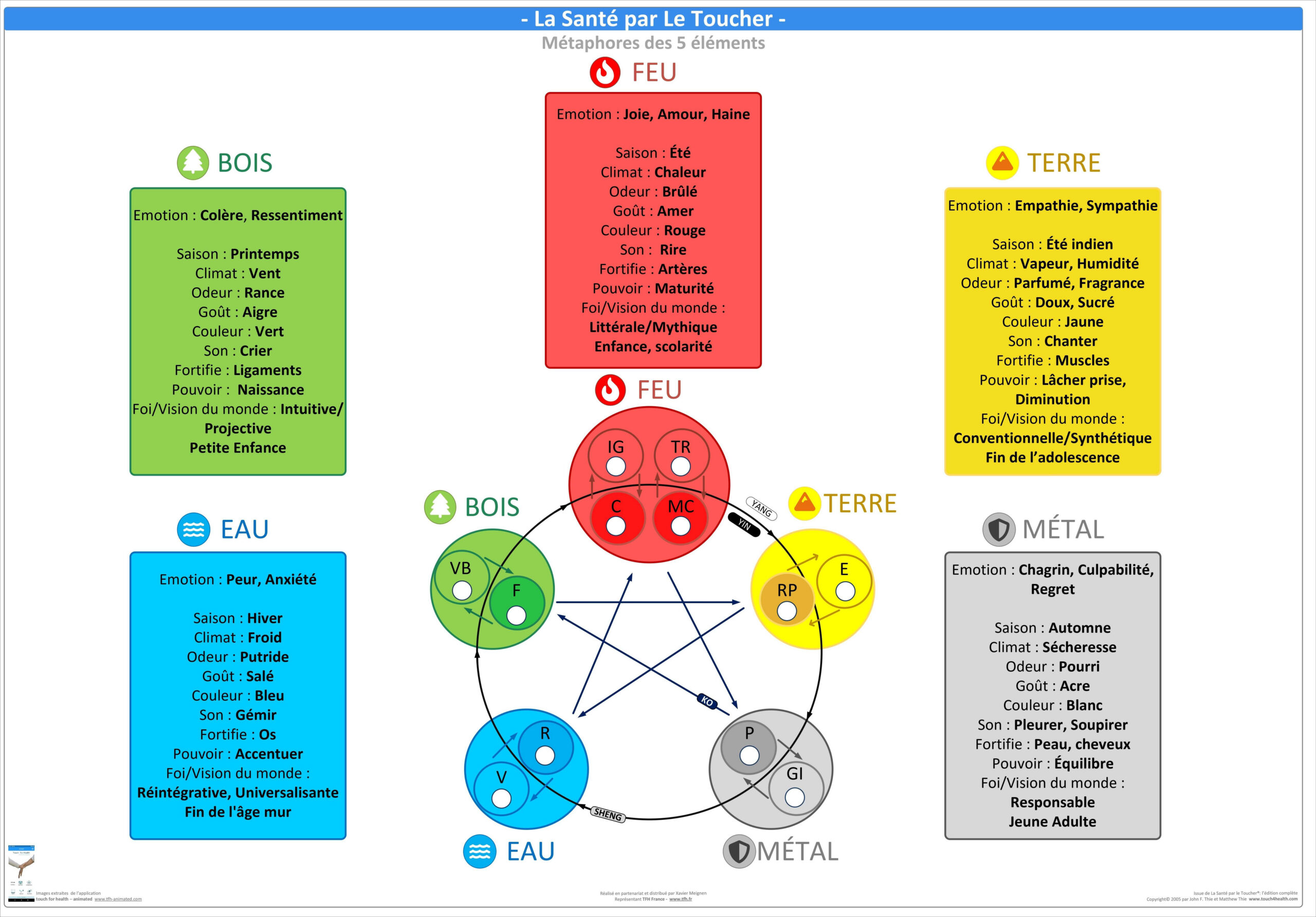 Pack 16 Fiches TFH plastifiées (v2)