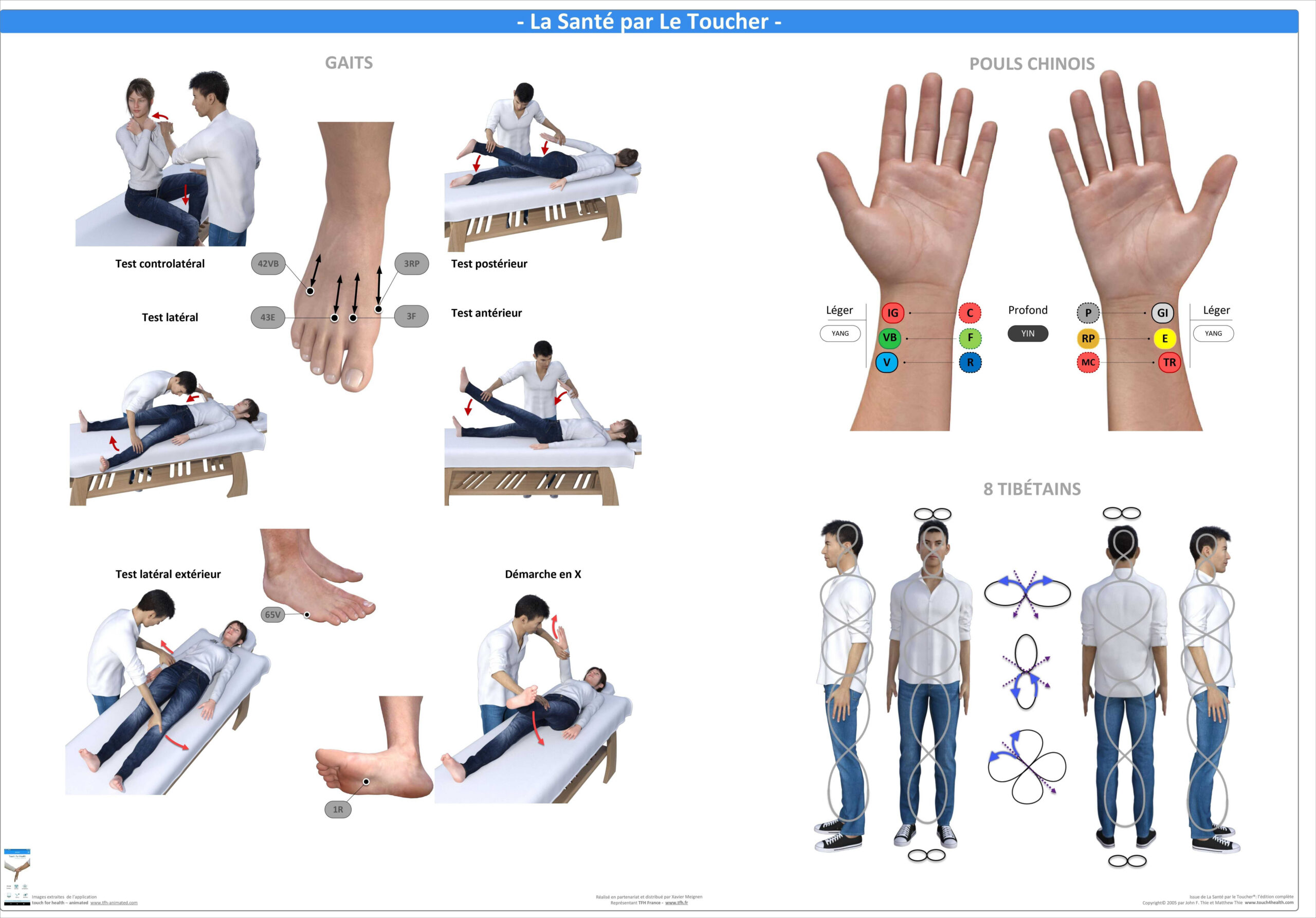 Pack 16 Fiches TFH plastifiées (v2)
