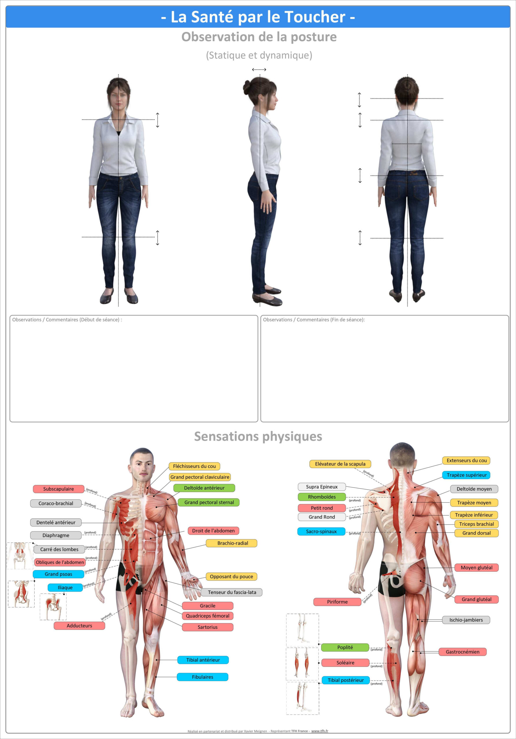 Pack 16 Fiches TFH plastifiées (v1)