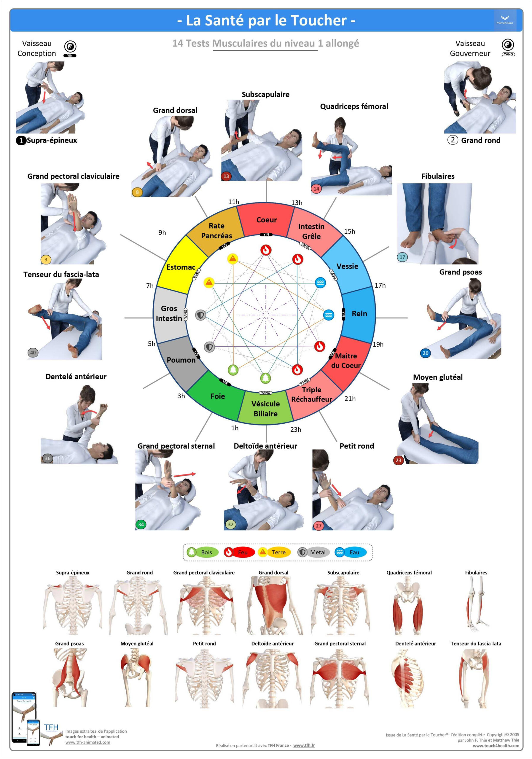 Pack 16 Fiches TFH plastifiées (v1)