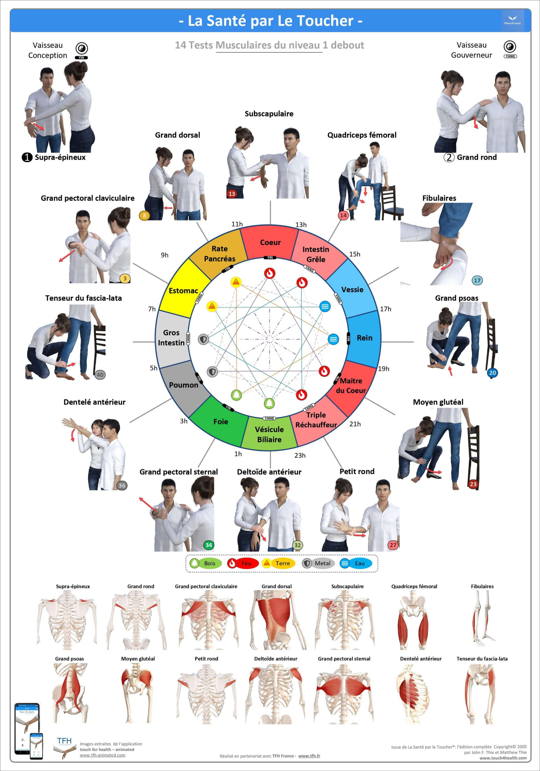 Pack 16 Fiches TFH plastifiées (v1)