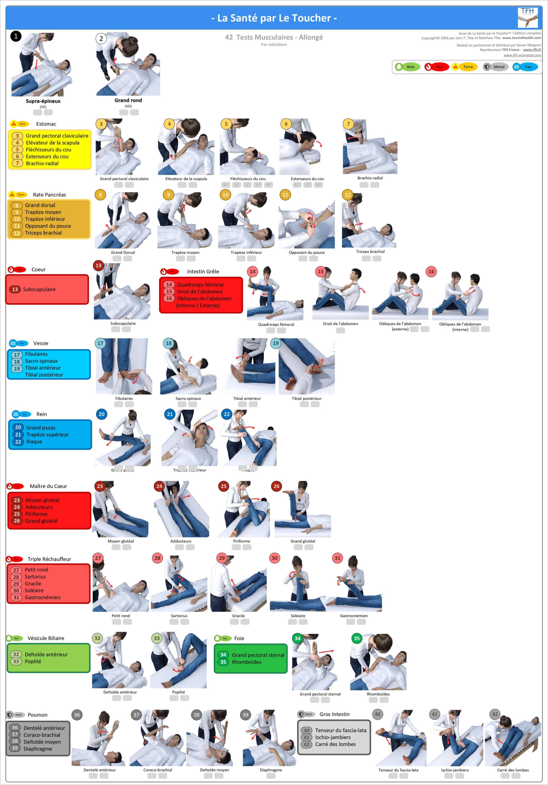 Pack 16 Fiches TFH plastifiées (v1)