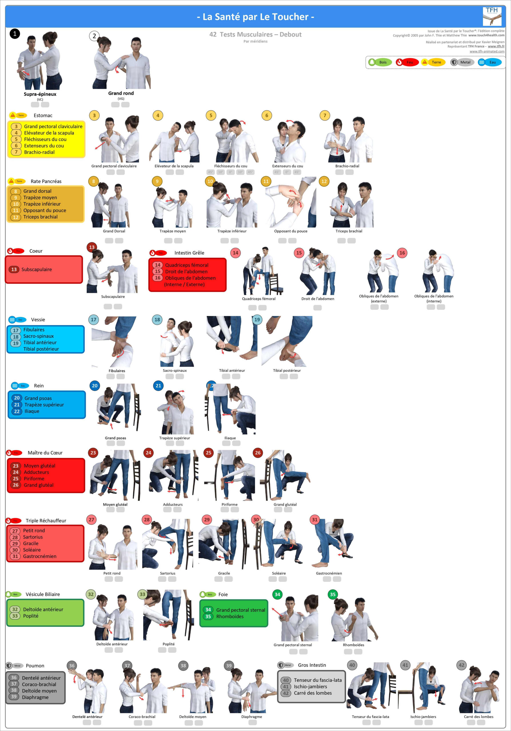 Pack 16 Fiches TFH plastifiées (v1)
