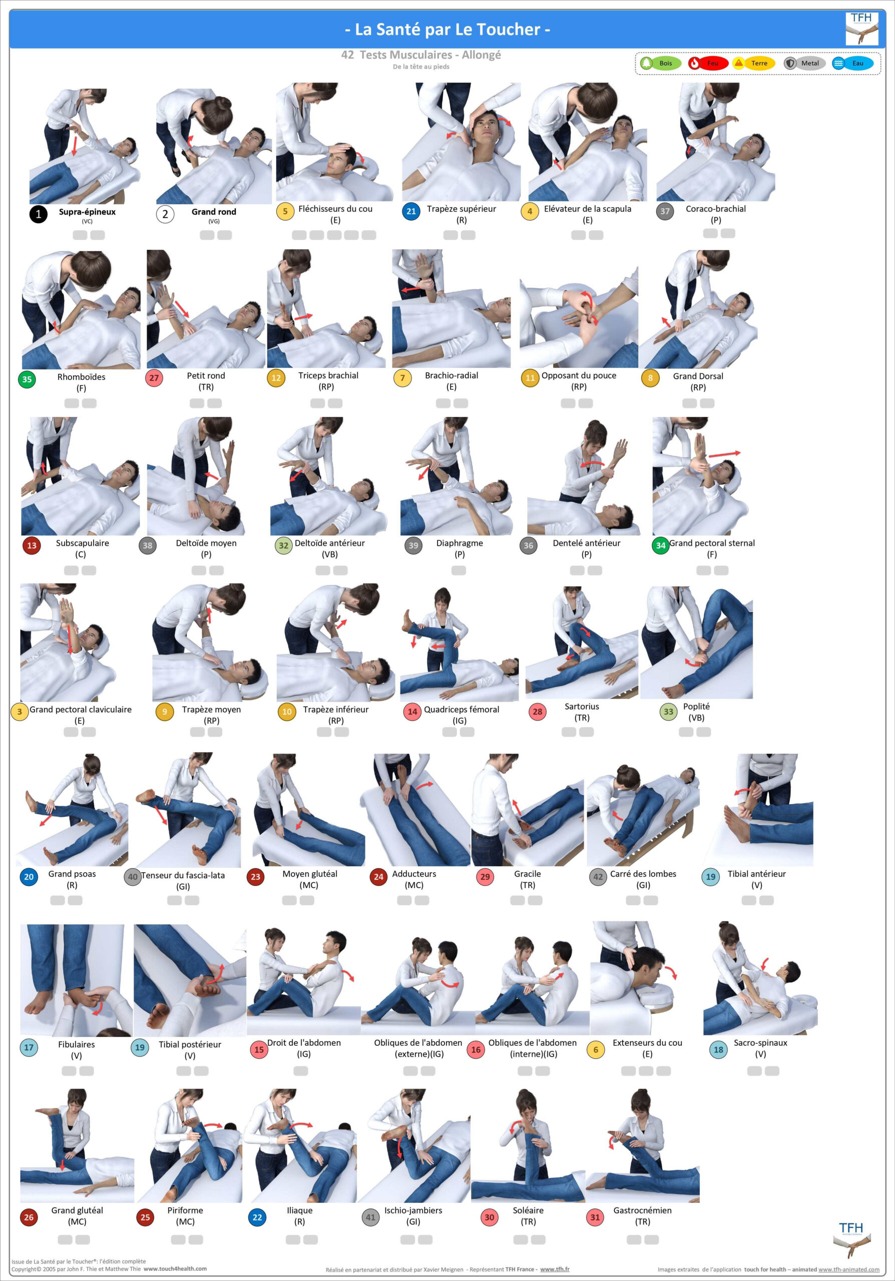 Pack 16 Fiches TFH plastifiées (v1)