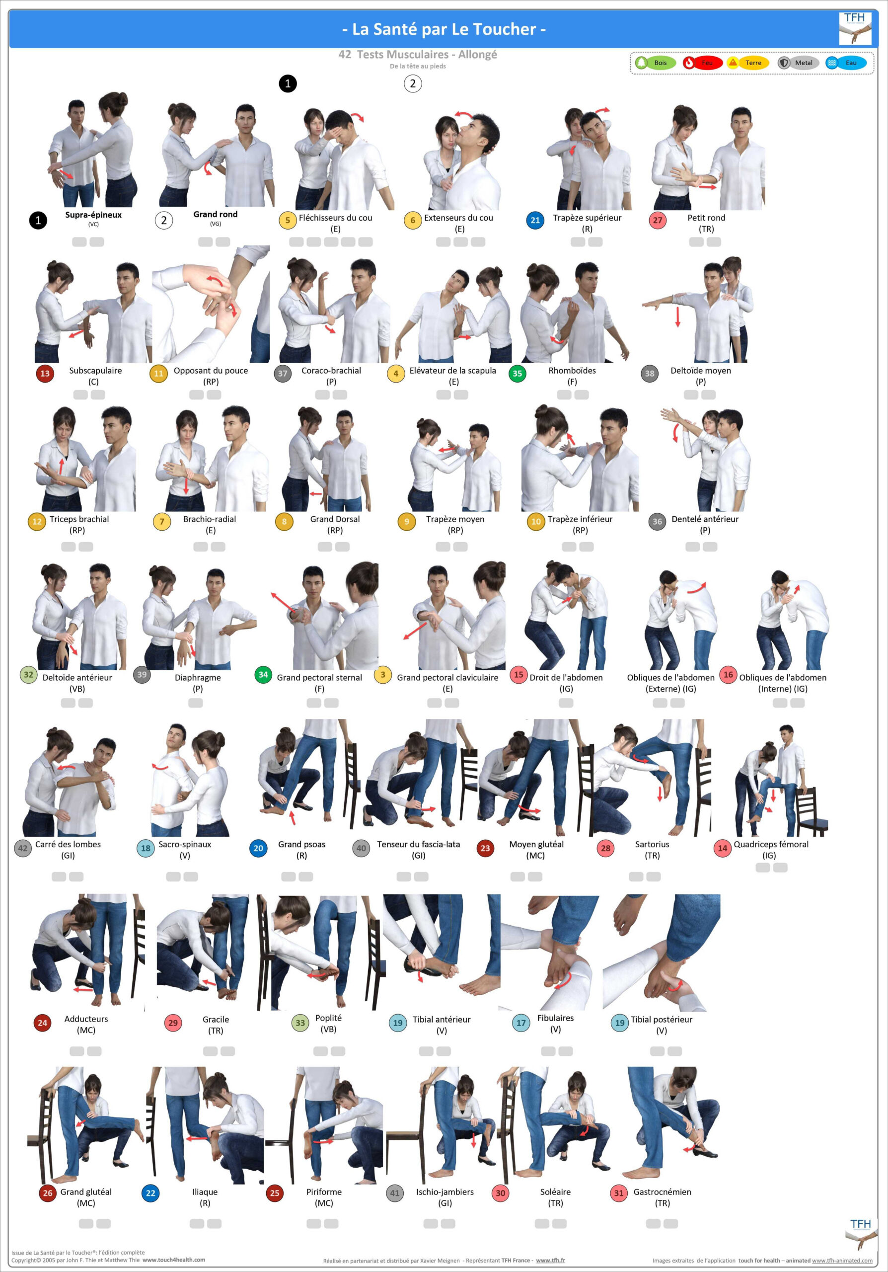 Pack 16 Fiches TFH plastifiées (v1)