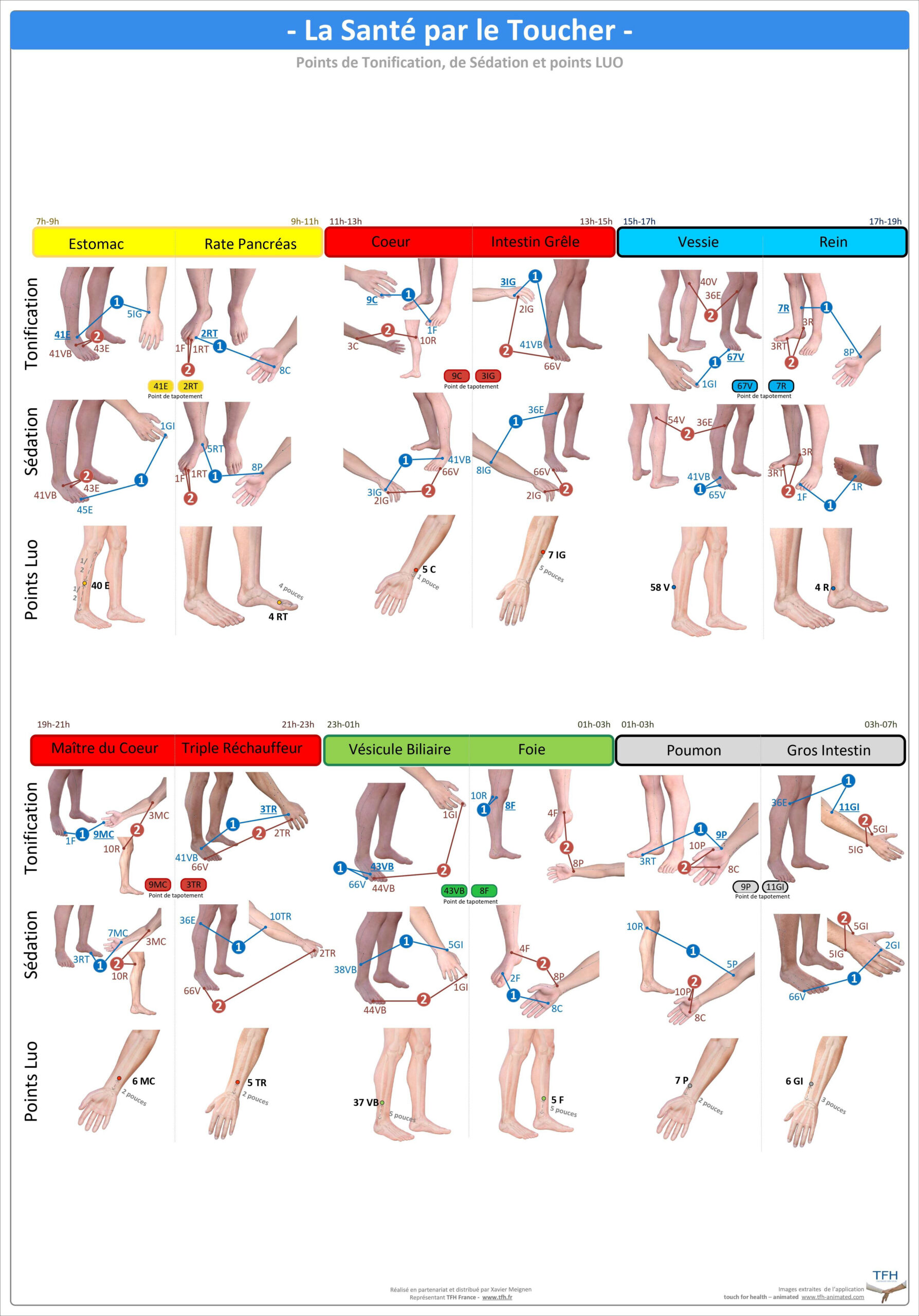 Pack 16 Fiches TFH plastifiées (v1)