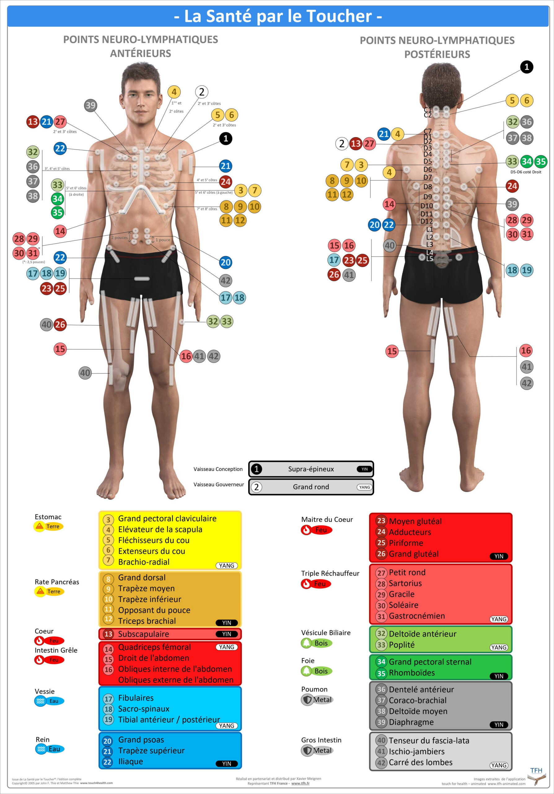 Pack 16 Fiches TFH plastifiées (v1)