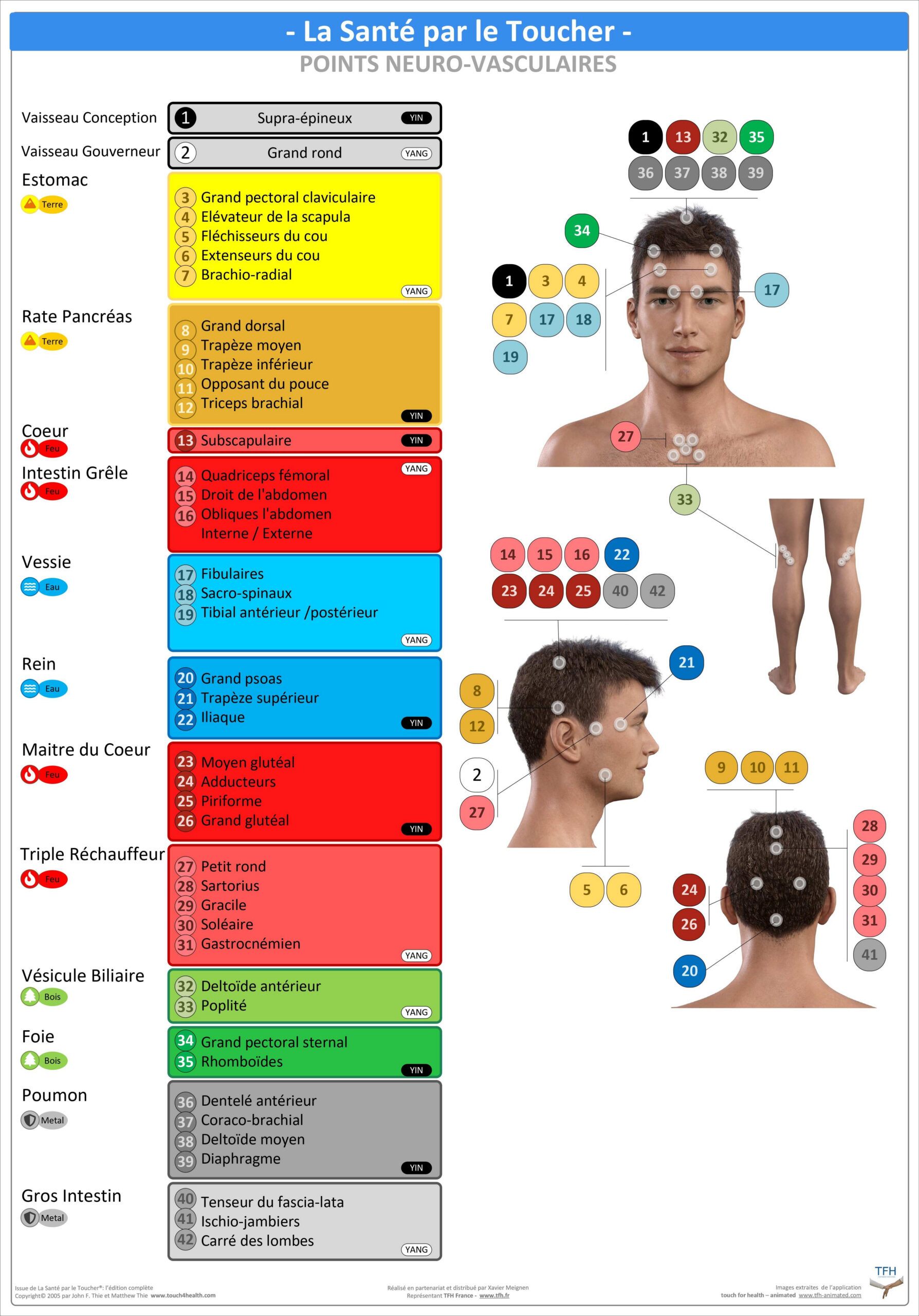 Pack 16 Fiches TFH plastifiées (v1)