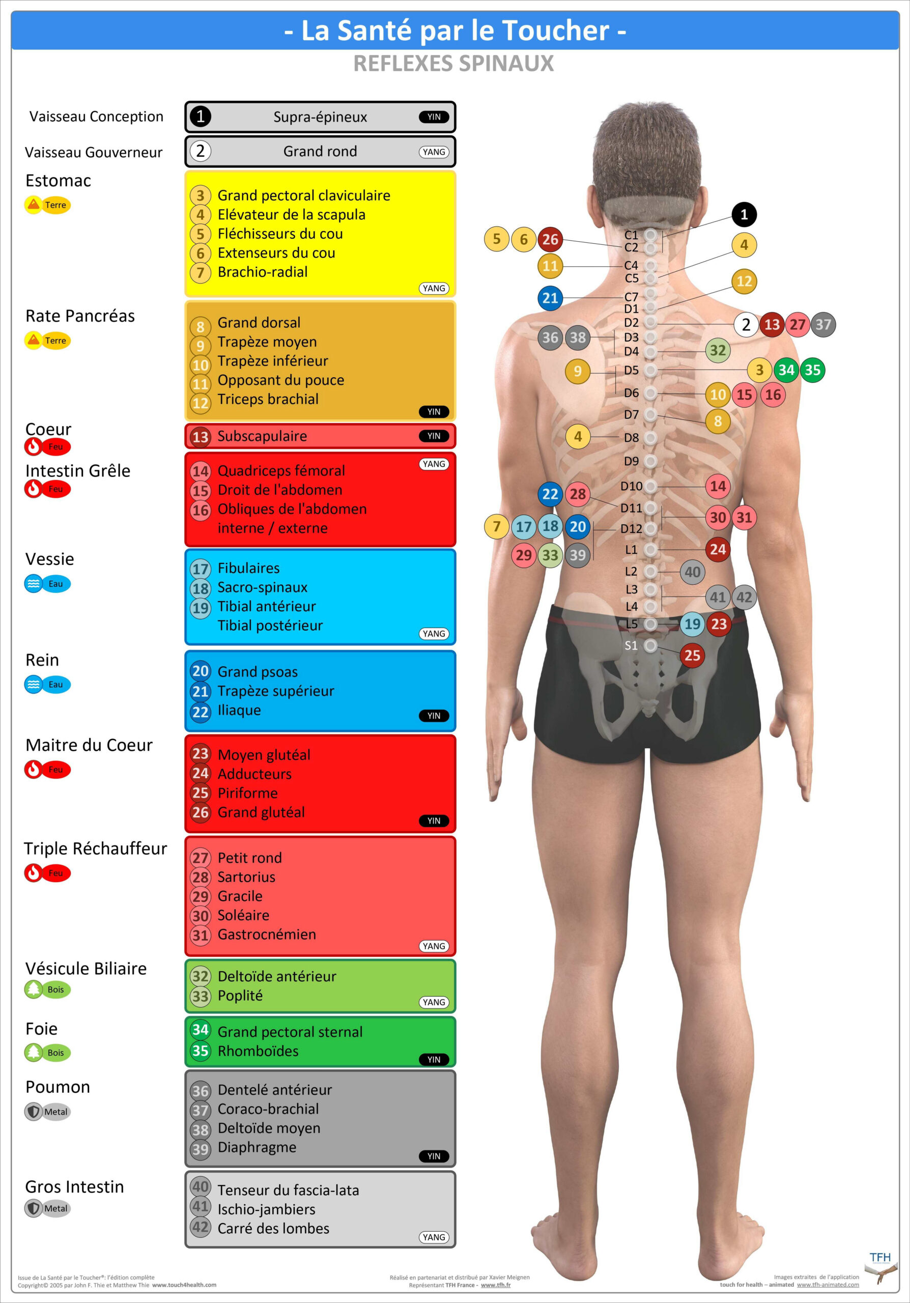Pack 16 Fiches TFH plastifiées (v1)