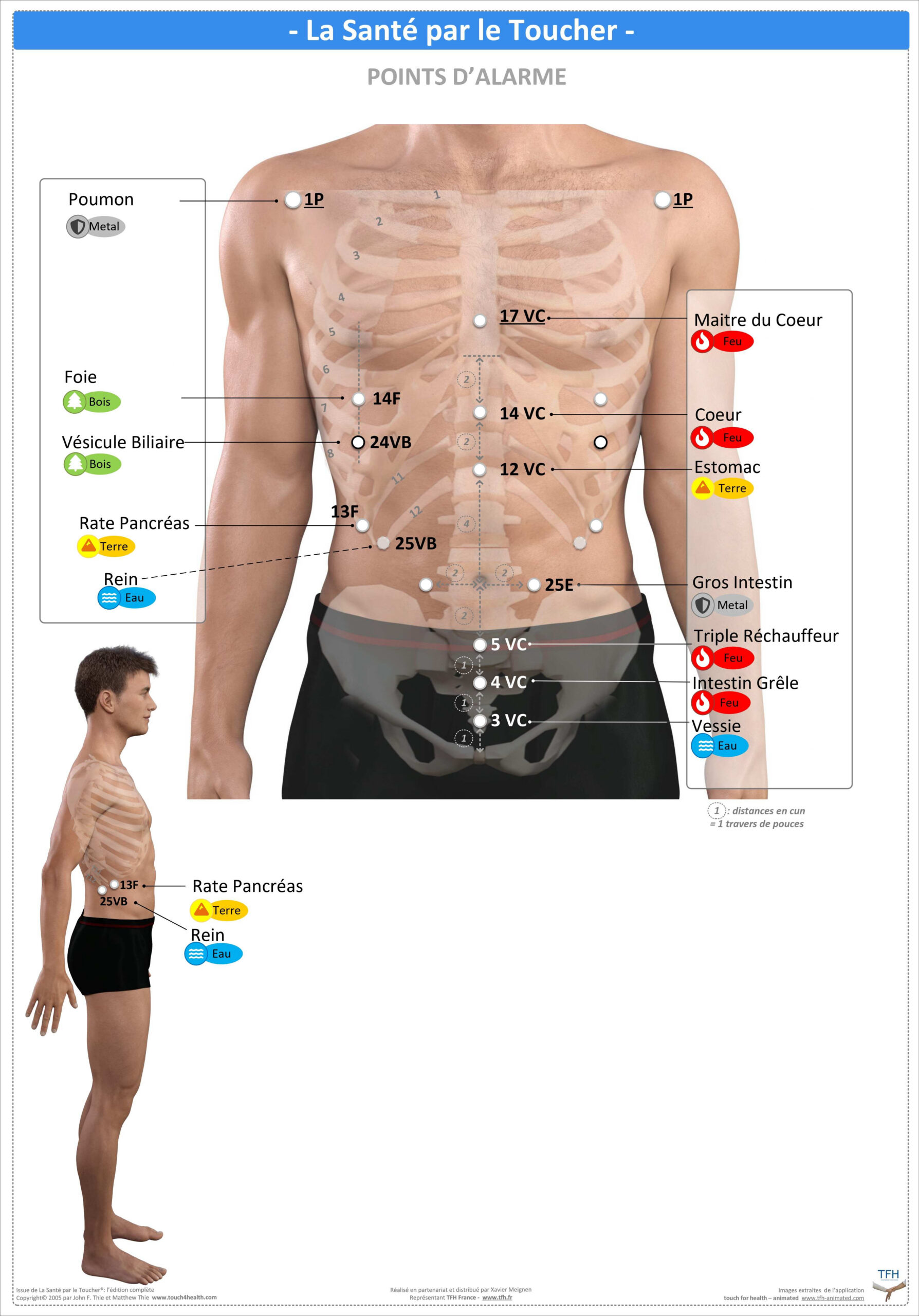 Pack 16 Fiches TFH plastifiées (v1)