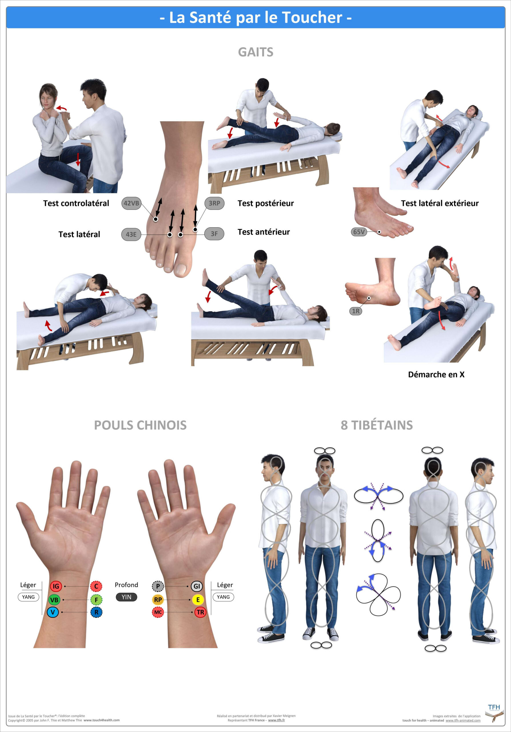 Pack 16 Fiches TFH plastifiées (v1)