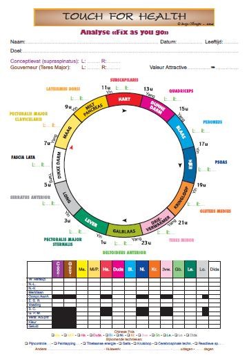 A4 - Fiche de Protocole du TFH pour une équilibration en avançant des 14 musles