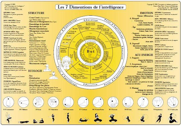 Fiche A4 - Techniques d'équilibration des 7dimensions de l'intelligence