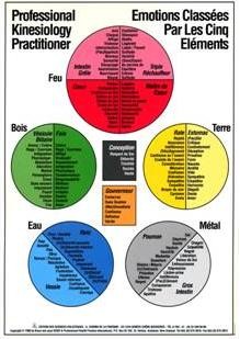 Poster des Emotions des 14 méridiens classés par les 5 éléments