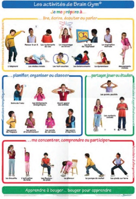 Poster 26 mouvements de Brain Gym Enfant (petit format)