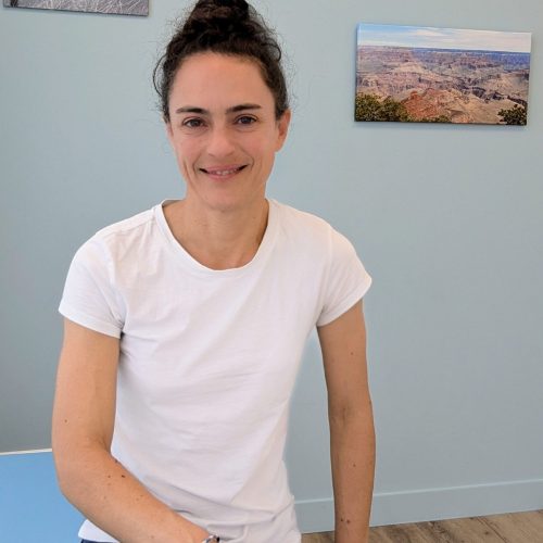 Anais-BAIXES